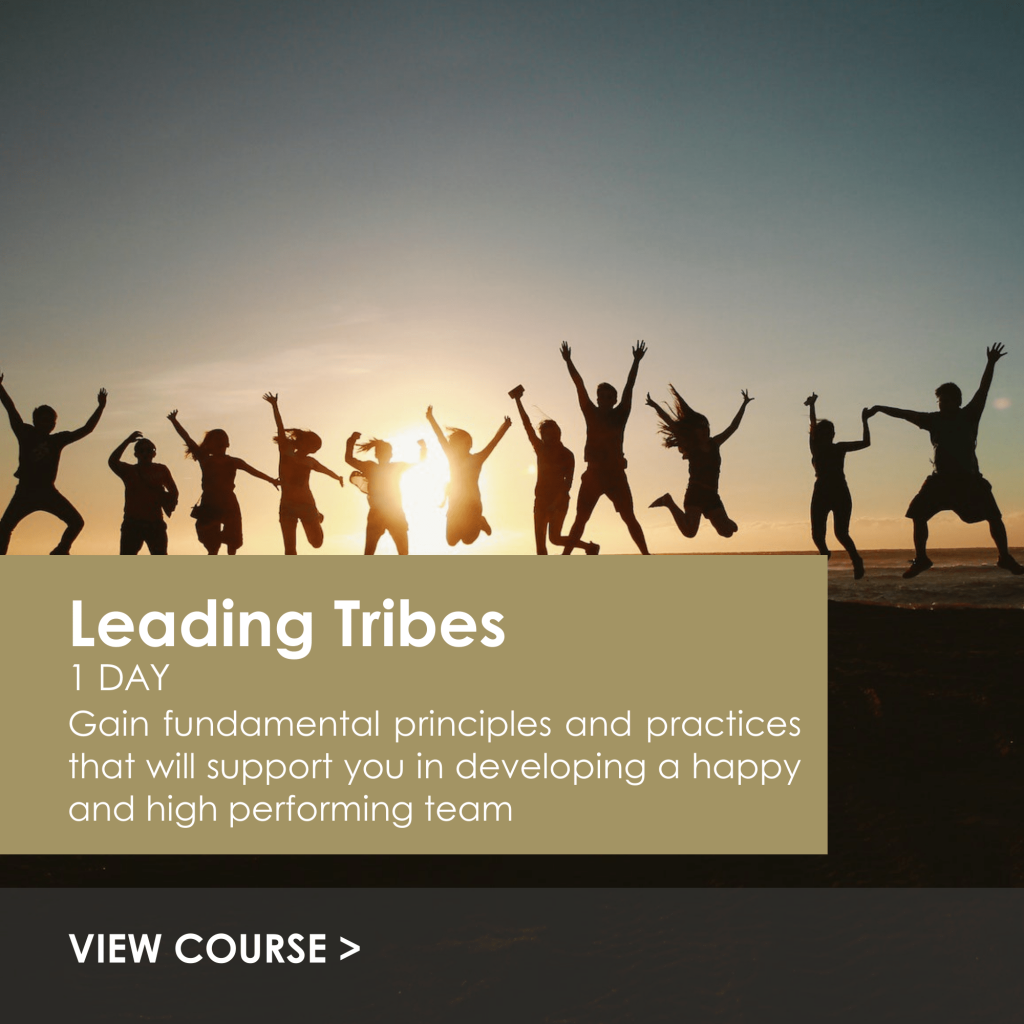 Luxury Hospitality | Leadership Courses | Hospitality Training and leadership training | Leading Tribes