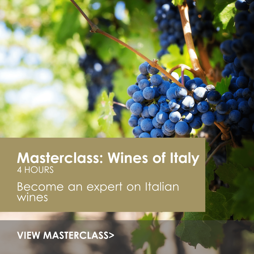 Luxury Hospitality | Hospitality Courses | Hospitality Training and leadership training | Masterclass Wines of Italy